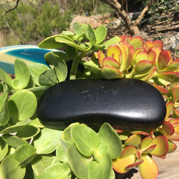 Ray-ban Case - Picture 5 of 6